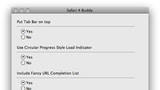 Safari 4 Buddy Sets Hidden Preferences