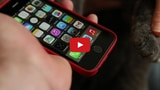 The New iPhone 5s Fingerprint Sensor Will Recognize Your Cat [Video]