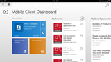 Microsoft Dynamics CRM App Released for iPad