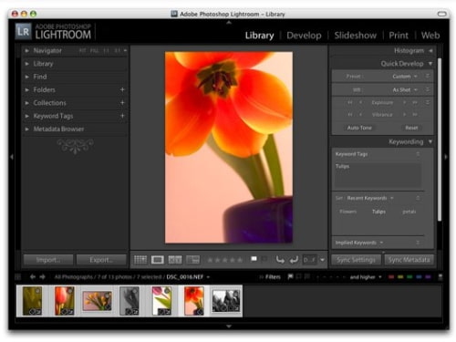 Adobe Photoshop Lightroom 1.3