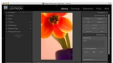 Adobe Photoshop Lightroom 1.3