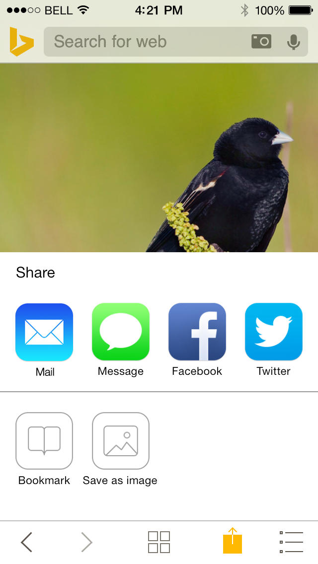 Bing App Gets Cleaner Simpler UI for iOS 7, New Logo and Color Palette