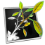 Markus Mueller Releases MindNode Pro 1.3