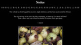 Hacker Defaces a Second Mac Site