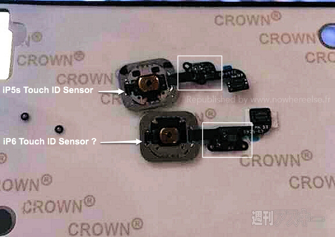 Purported iPhone 6 Touch ID Sensor Surfaces [Photos]