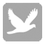 Jailbird iPhone Tool for Windows Nears Completion