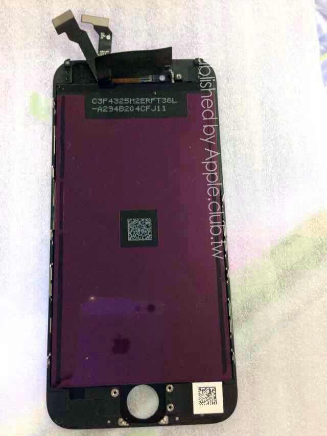 Purported iPhone 6 Front Panel Leaks Again [Photos]