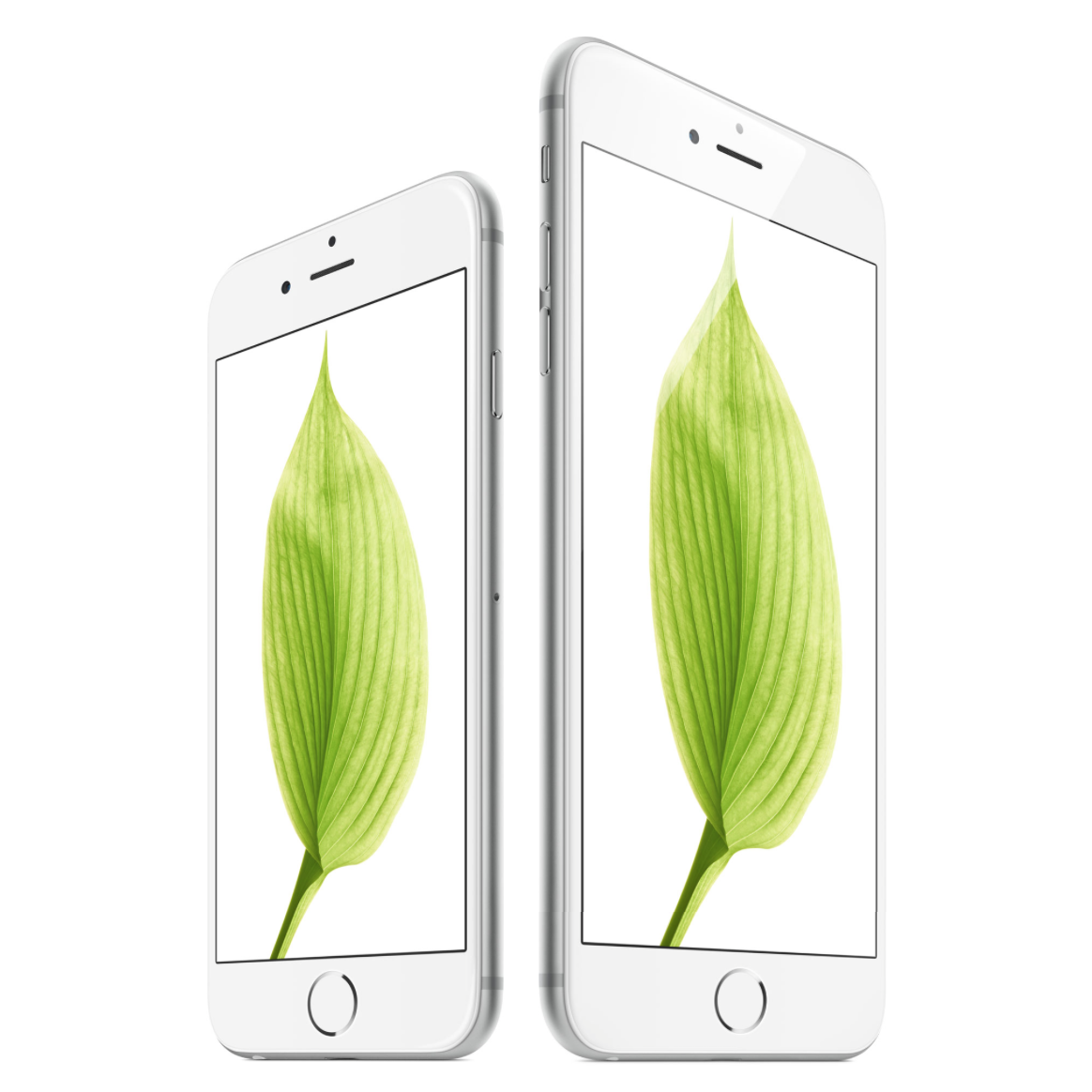 Apple &#039;iPhone 6&#039; and &#039;iPhone 6 Plus&#039; [Photo Gallery]