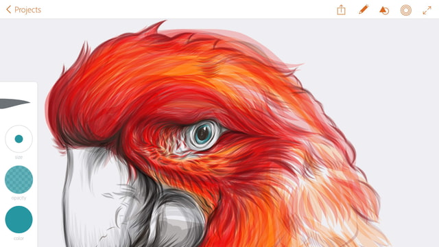 New Adobe Illustrator Draw App Now Available for iPad 