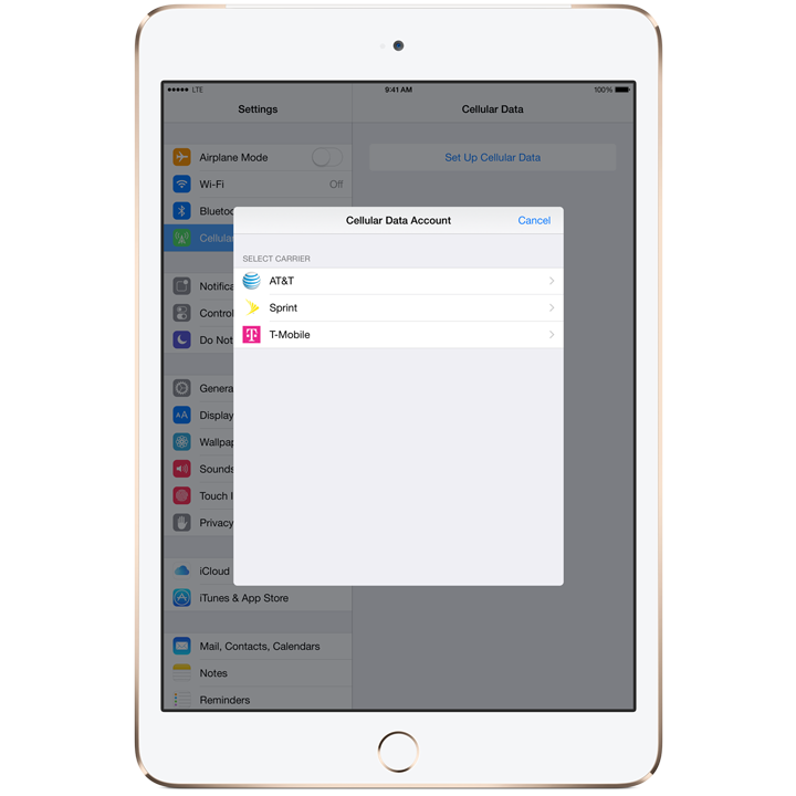 New ‘Apple SIM’ Preinstalled on Cellular iPad Air 2, iPad mini 3 