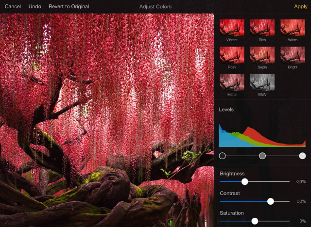 Pixelmator Image Editing App Released for iPad