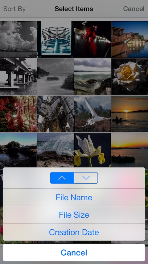 Photo Organizer 8 Tweak Lets You Manage Your Photo Library