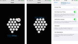 Leaked Screenshots Reveal Apple Watch 'Companion' App [Images]