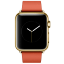 New Apple Watch Details Leak