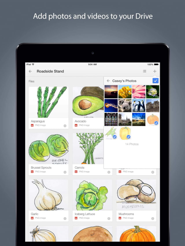 Google Drive App Gets Auto Camera Roll Backup, Access to Google+ Photos