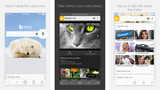 Bing App Gets Private Search Mode, New Image Search, In-line Video Previews, More