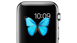 DisplayMate Tests the Apple Watch's OLED Retina Display