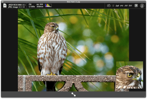 Quick Look Plugin for Digital Photography