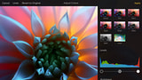 Pixelmator App Gets Support for Multitasking on iPad, 8K Resolution, Save to Photos, More