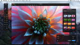 Pixelmator for Mac Gets OS X El Capitan Support, Split View, New Photos Extension, More