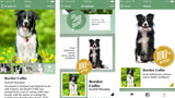 Microsoft Releases Fetch! App for iPhone That Identifies a Dog's Breed From a Photo [Video]