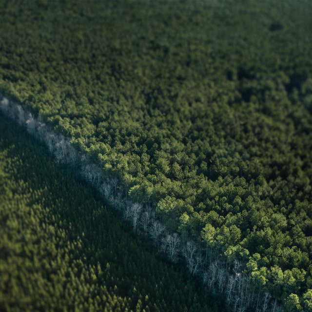 12 Beautiful Earth Day Wallpapers From Apple [Download]