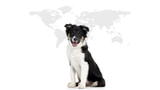 Fido Announces $5/Day Roaming in the United States, $10/Day Internationally