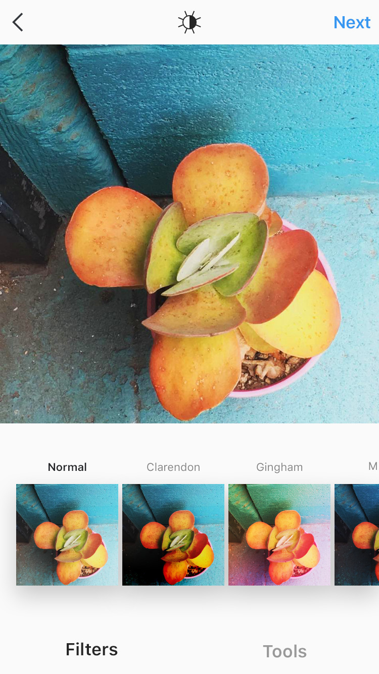 Instagram App Gets Pinch to Zoom