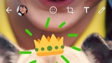 You Can Now Draw or Add Text and Emojis to Photos and Videos in WhatsApp