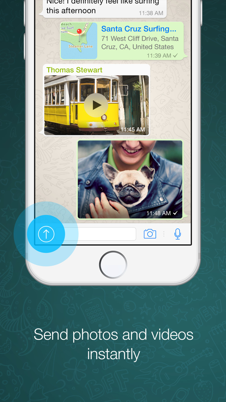WhatsApp Gets Support for Animated GIFs, Live Photos