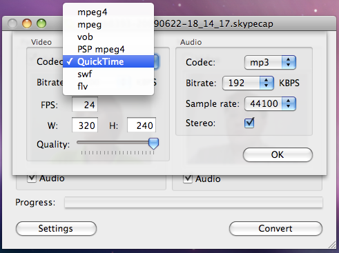 Record Skype Video/Audio Conversations