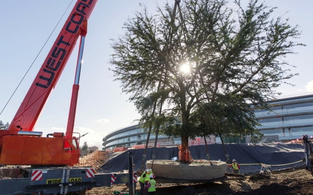 Check Out These Construction Photos From Inside Apple Campus 2