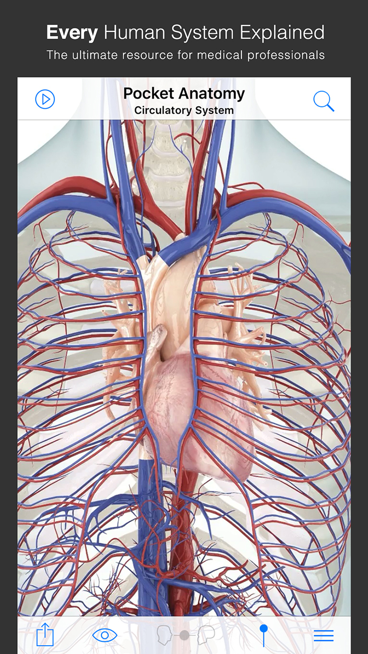 Download the Pocket Anatomy App for Free [Deal]