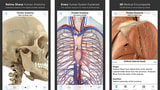 Download the Pocket Anatomy App for Free [Deal]