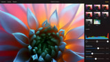 Pixelmator for iOS On Sale for $0.99 [80% Off]