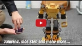 An iPhone Controlled Robot [Video]