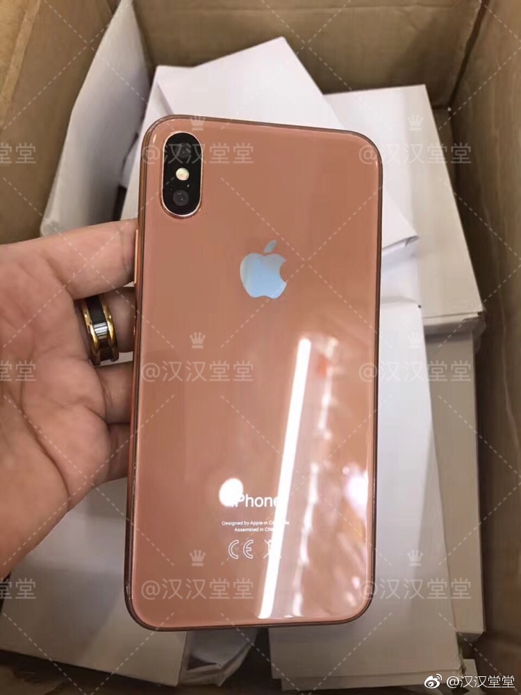 iPhone 8 to Come in New 'Copper' Color? [Photos]