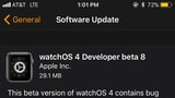 Apple Seeds watchOS 4 Beta 8 to Developers [Download]
