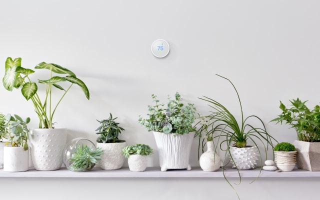 Nest Unveils New Cheaper &#039;Nest Thermostat E&#039; [Video]