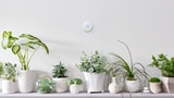 Nest Unveils New Cheaper 'Nest Thermostat E' [Video]