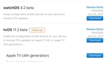 Apple Seeds tvOS 11.2 Beta and watchOS 4.2 Beta to Developers [Download]