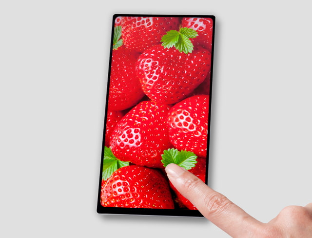 Rumored 6.1-inch LCD iPhone to Feature 18:9 2160x1080 Display Panel?
