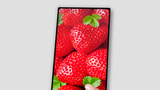 Rumored 6.1-inch LCD iPhone to Feature 18:9 2160x1080 Display Panel?