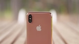 Blush Gold Colored iPhone Allegedly in Production