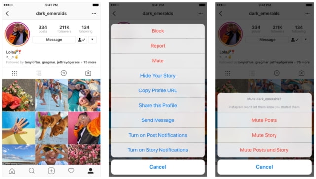 Instagram Introduces the Ability to Mute Accounts