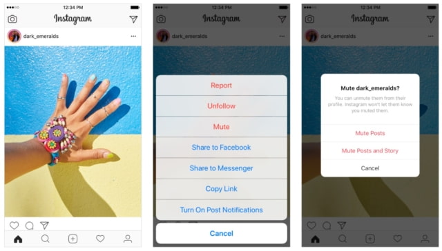 Instagram Introduces the Ability to Mute Accounts