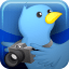 A New Way to View and Share Photos on Twitter