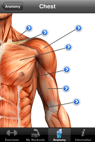 DataSupply Releases Fitness Pro 1.0