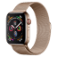 A 'First Look' at the Apple Watch Series 4 [Video]