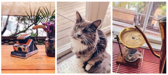 Halide Camera App Enables Portrait Mode for Pets and Other Objects on iPhone XR